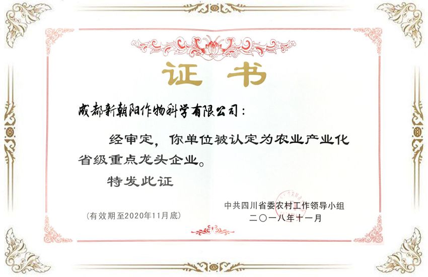 龍頭企業(yè).jpg