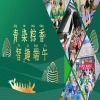 端午節(jié)