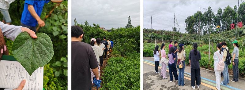 首個(gè)！中國(guó)農(nóng)業(yè)大學(xué)攜手新朝陽(yáng)啟動(dòng)“朝陽(yáng)稼穡計(jì)劃”